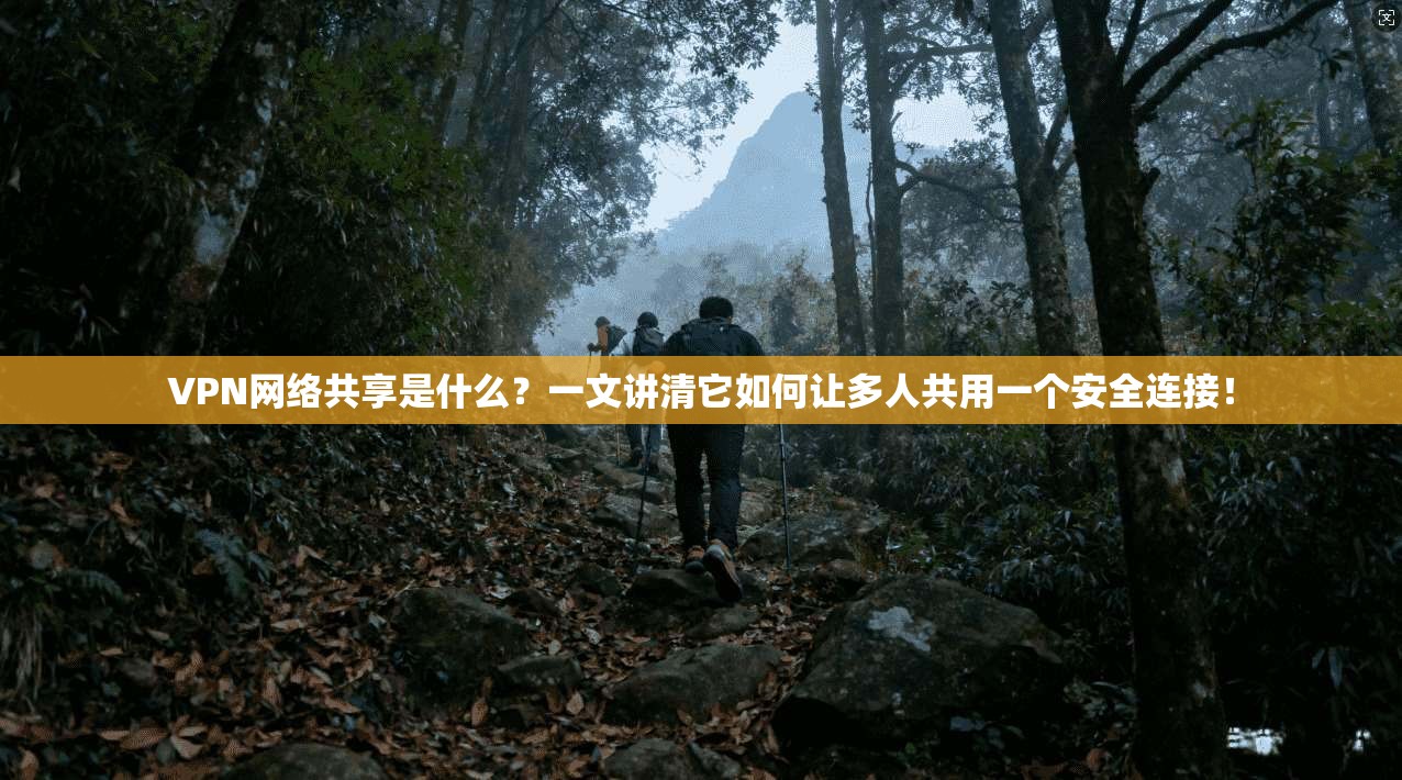 VPN网络共享是什么？一文讲清它如何让多人共用一个安全连接！