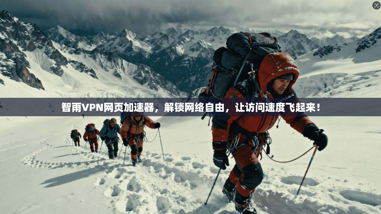 智雨VPN网页加速器，解锁网络自由，让访问速度飞起来！