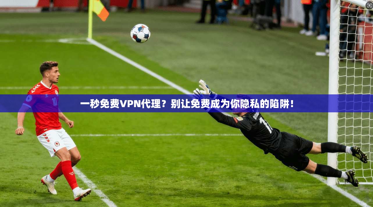 一秒免费VPN代理？别让免费成为你隐私的陷阱！