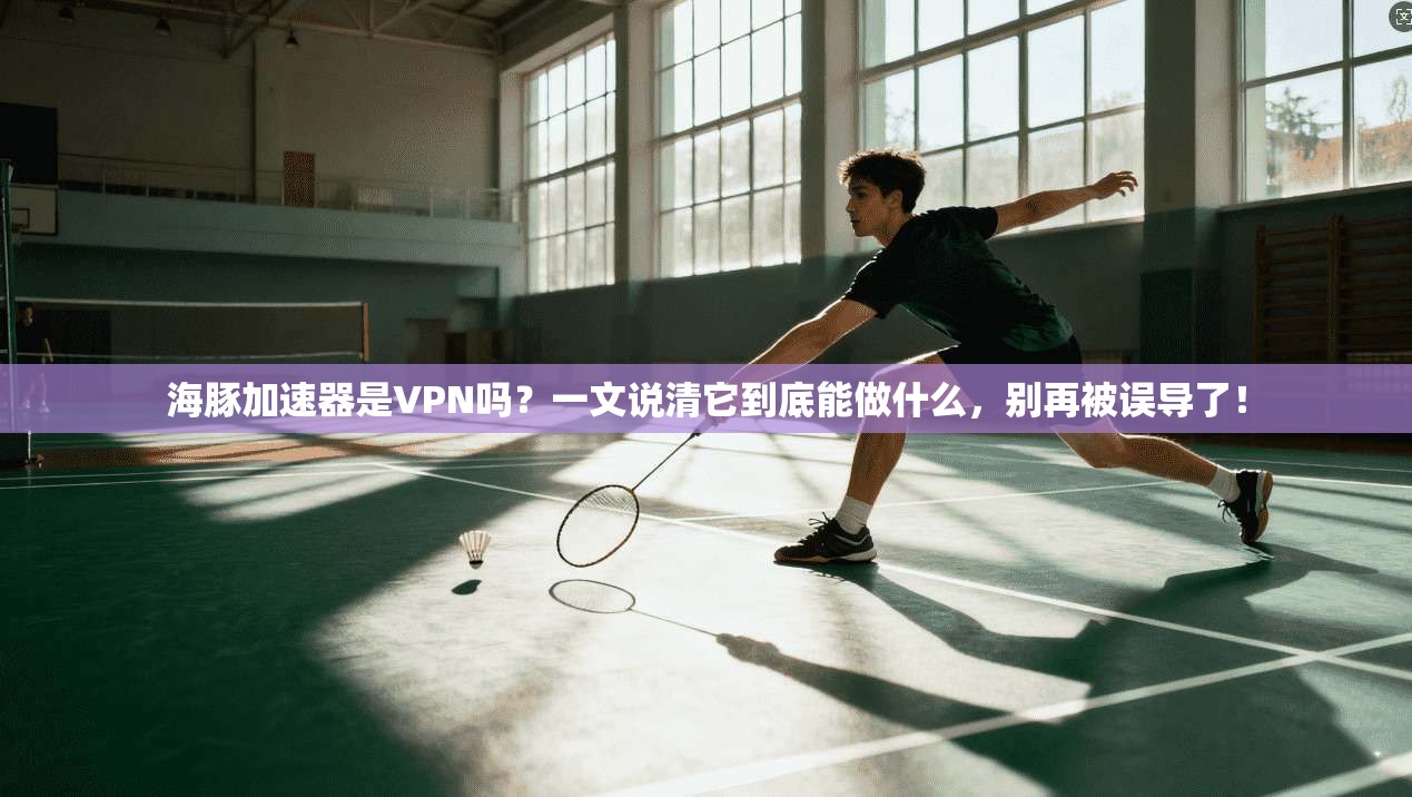海豚加速器是VPN吗？一文说清它到底能做什么，别再被误导了！