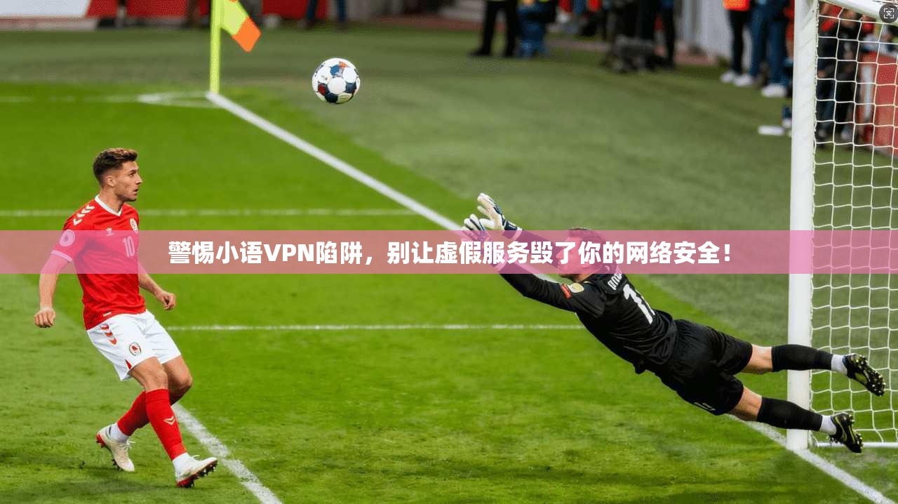 警惕小语VPN陷阱，别让虚假服务毁了你的网络安全！