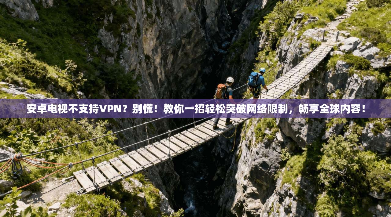 安卓电视不支持VPN？别慌！教你一招轻松突破网络限制，畅享全球内容！