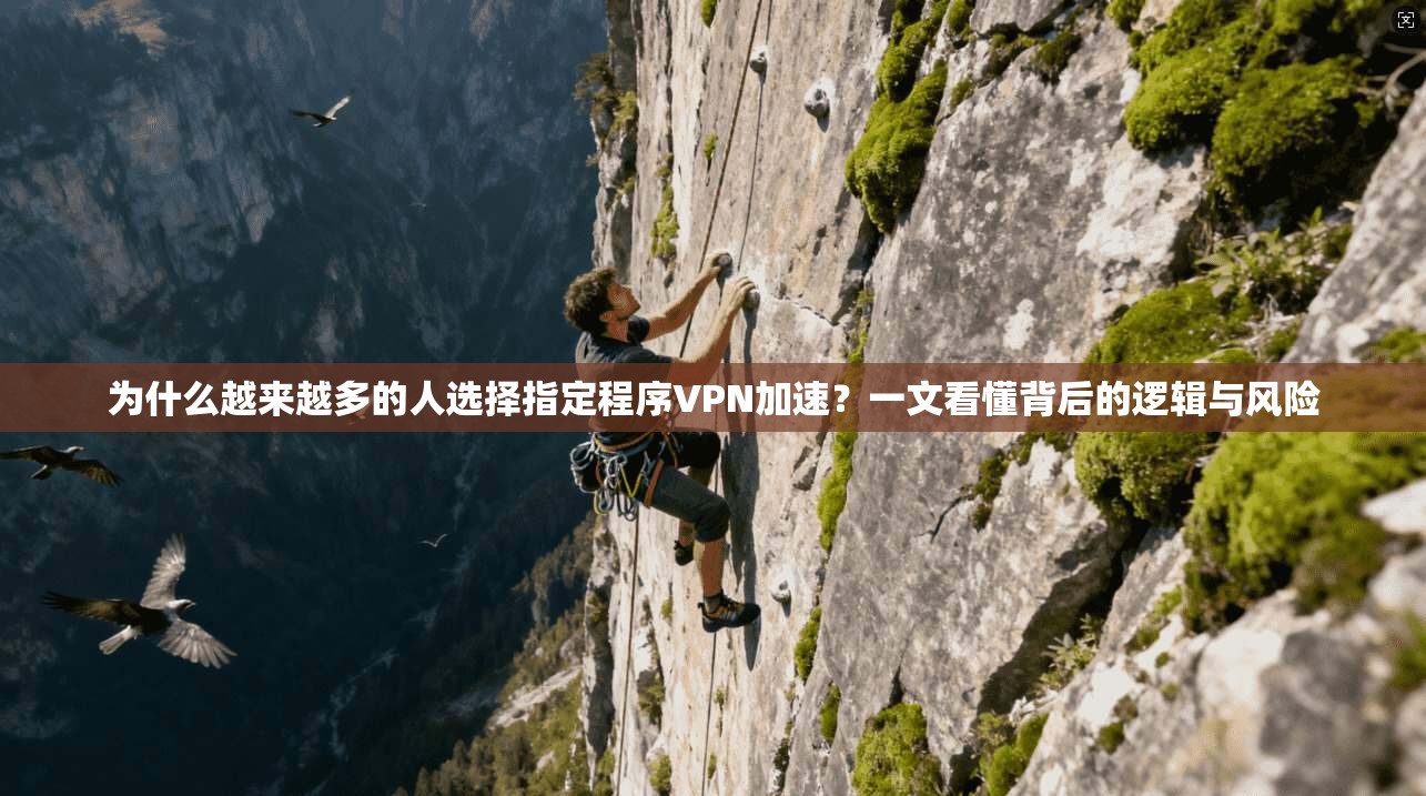 为什么越来越多的人选择指定程序VPN加速？一文看懂背后的逻辑与风险