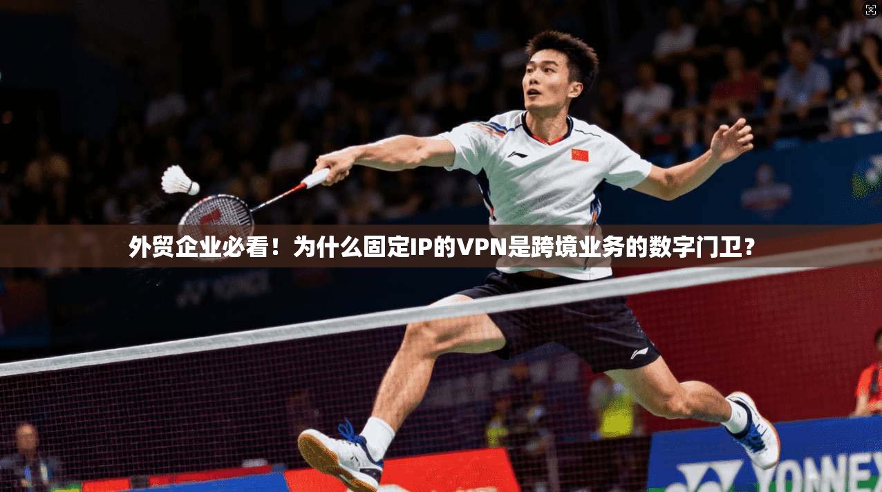外贸企业必看！为什么固定IP的VPN是跨境业务的数字门卫？