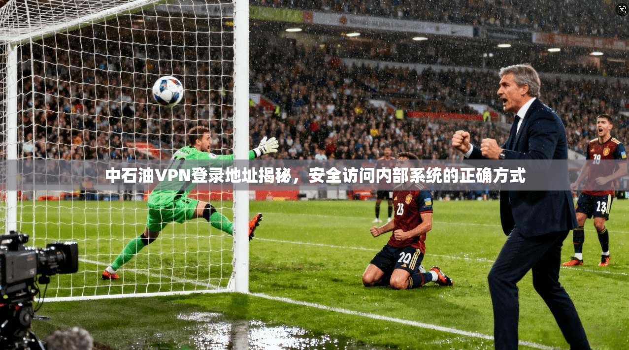 中石油VPN登录地址揭秘，安全访问内部系统的正确方式