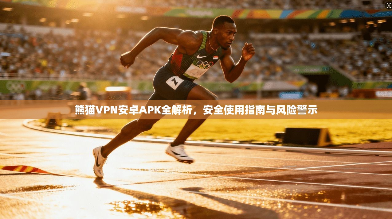 熊猫VPN安卓APK全解析，安全使用指南与风险警示