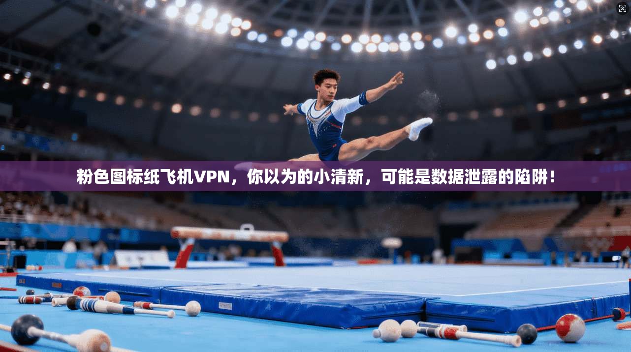 粉色图标纸飞机VPN，你以为的小清新，可能是数据泄露的陷阱！