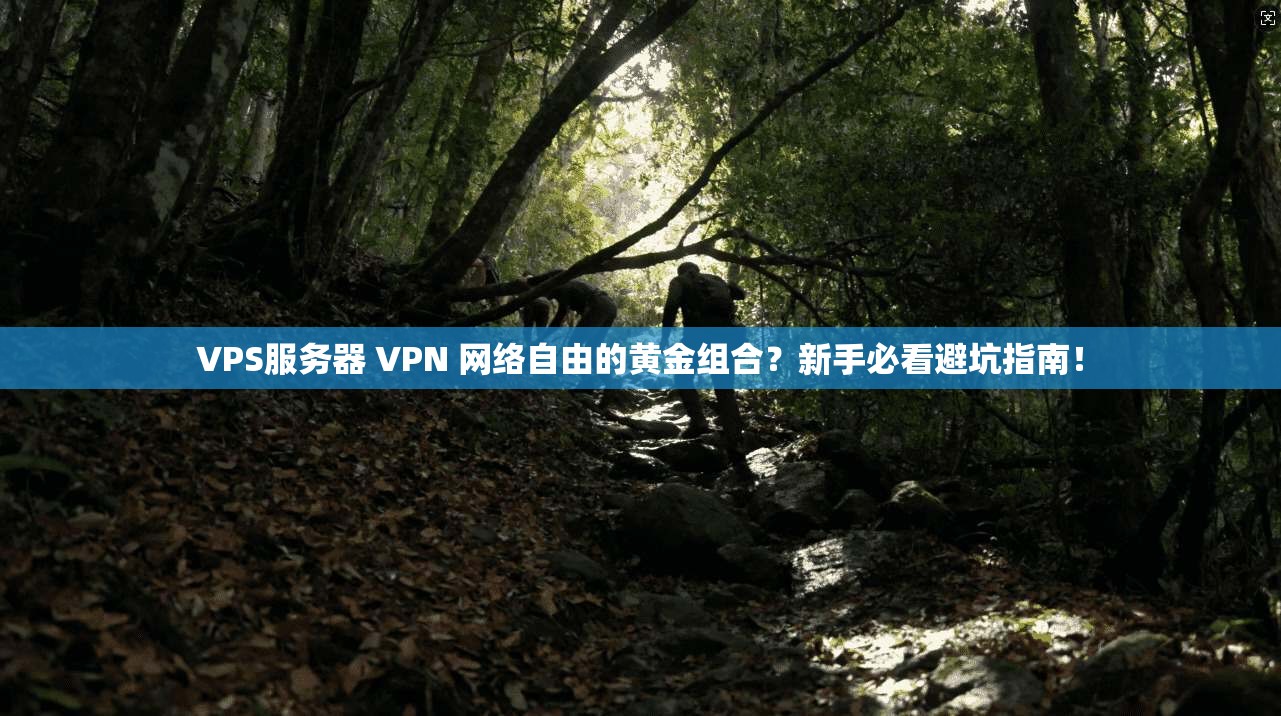 VPS服务器 VPN 网络自由的黄金组合？新手必看避坑指南！