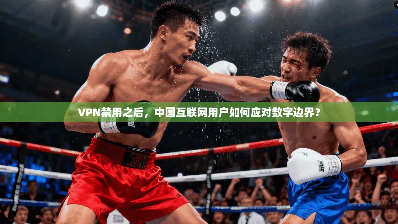 VPN禁用之后，中国互联网用户如何应对数字边界？