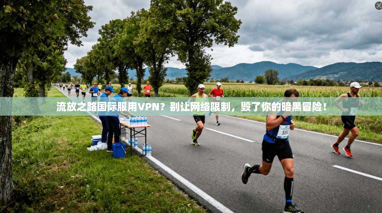 流放之路国际服用VPN?别让网络限制,毁了你的暗黑冒险!
