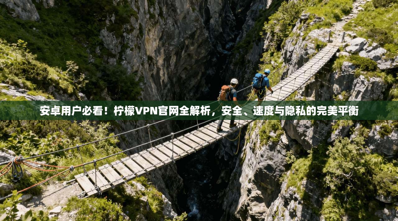 安卓用户必看！柠檬VPN官网全解析，安全、速度与隐私的完美平衡