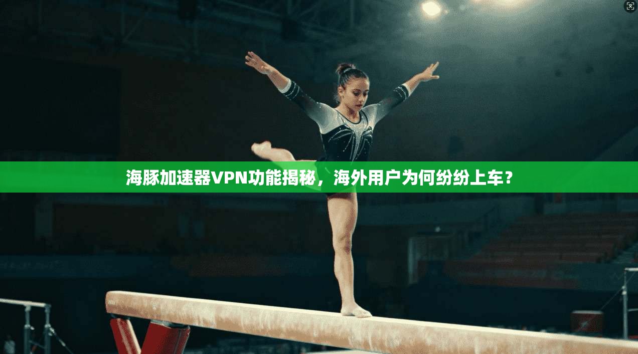 海豚加速器VPN功能揭秘，海外用户为何纷纷上车？