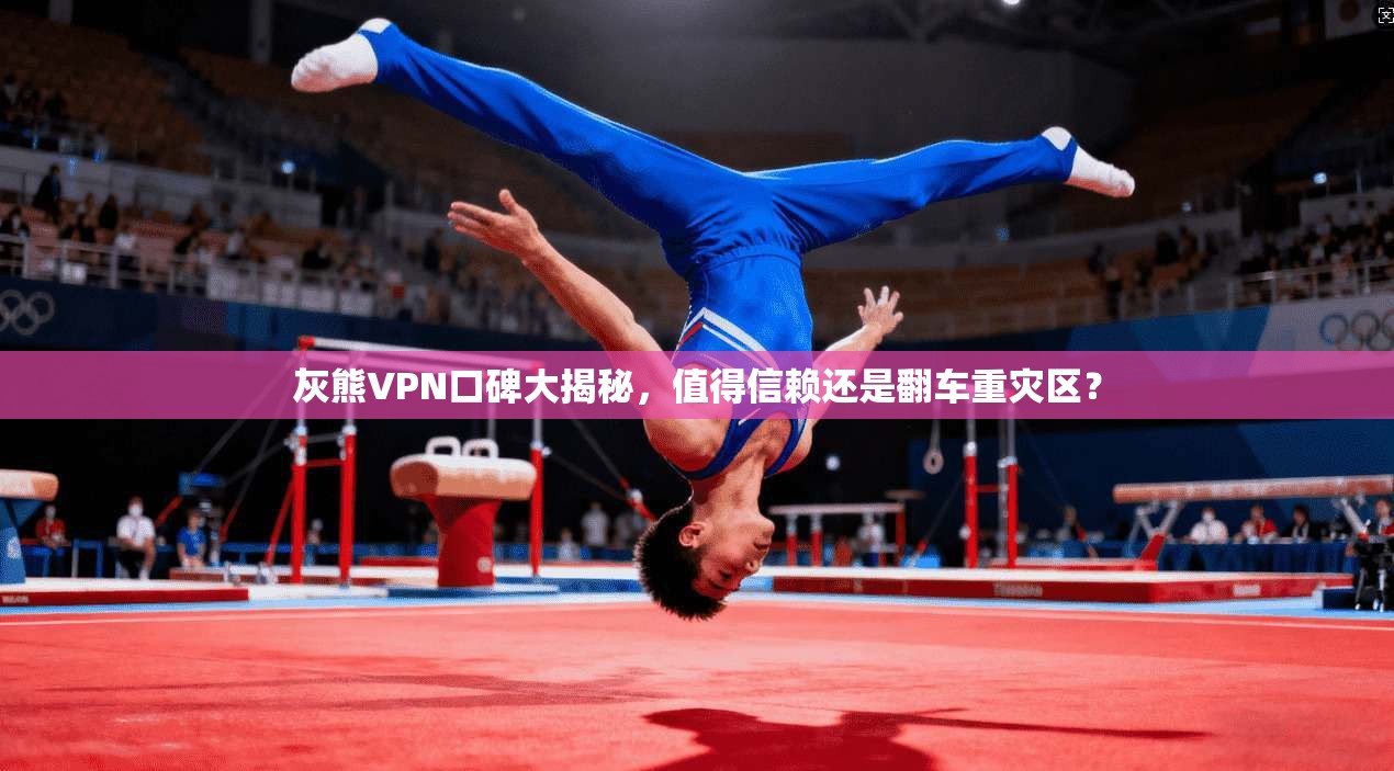 灰熊VPN口碑大揭秘，值得信赖还是翻车重灾区？