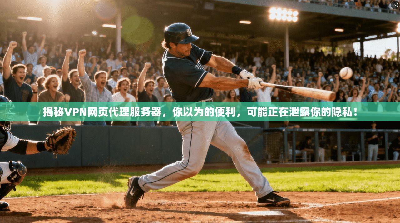 揭秘VPN网页代理服务器，你以为的便利，可能正在泄露你的隐私！