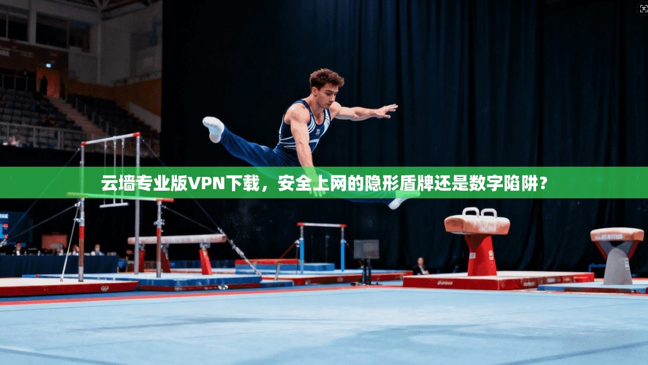 云墙专业版VPN下载，安全上网的隐形盾牌还是数字陷阱？