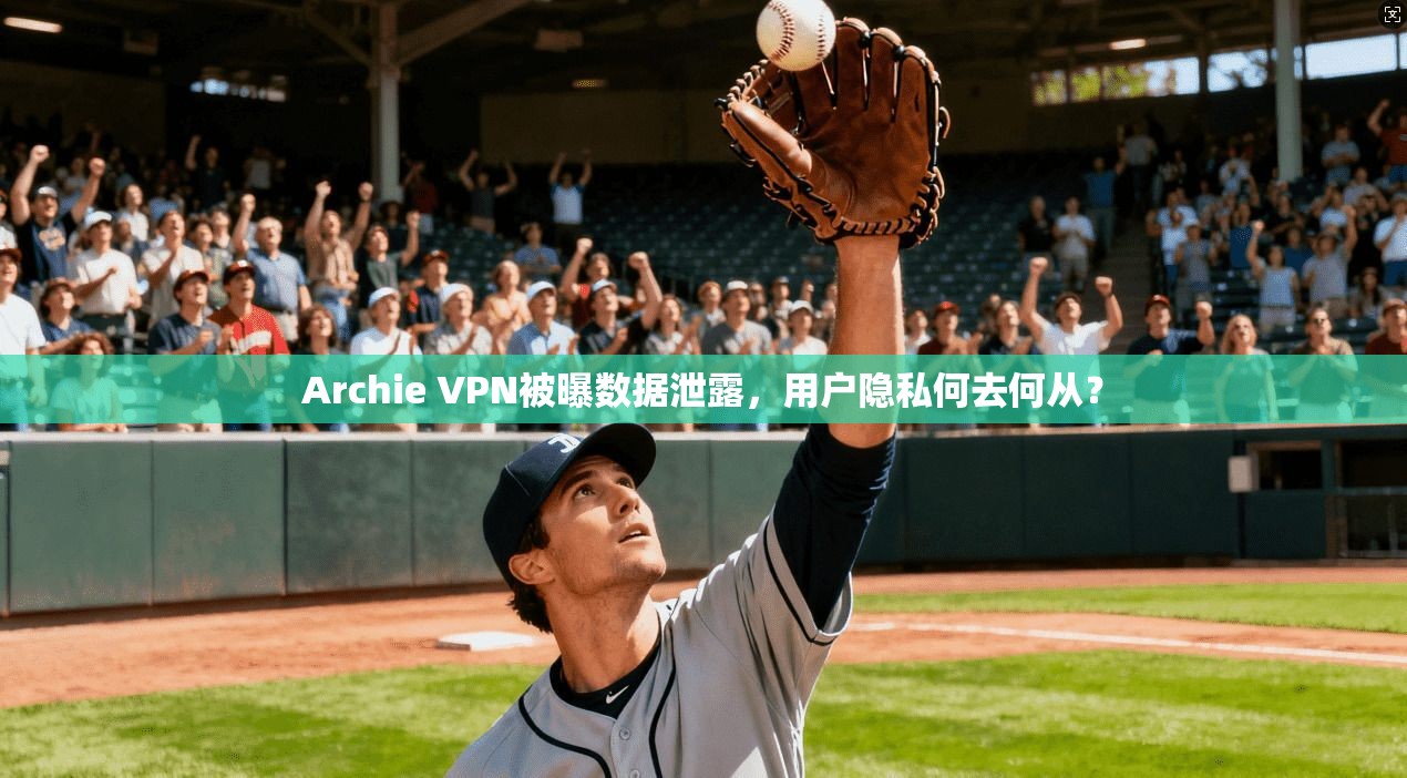 Archie VPN被曝数据泄露，用户隐私何去何从？