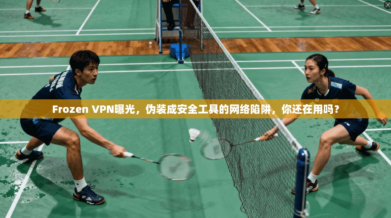 Frozen VPN曝光，伪装成安全工具的网络陷阱，你还在用吗？