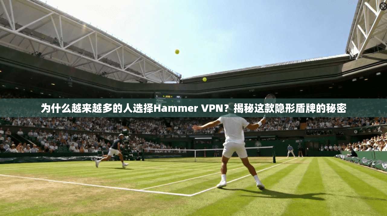 为什么越来越多的人选择Hammer VPN？揭秘这款隐形盾牌的秘密