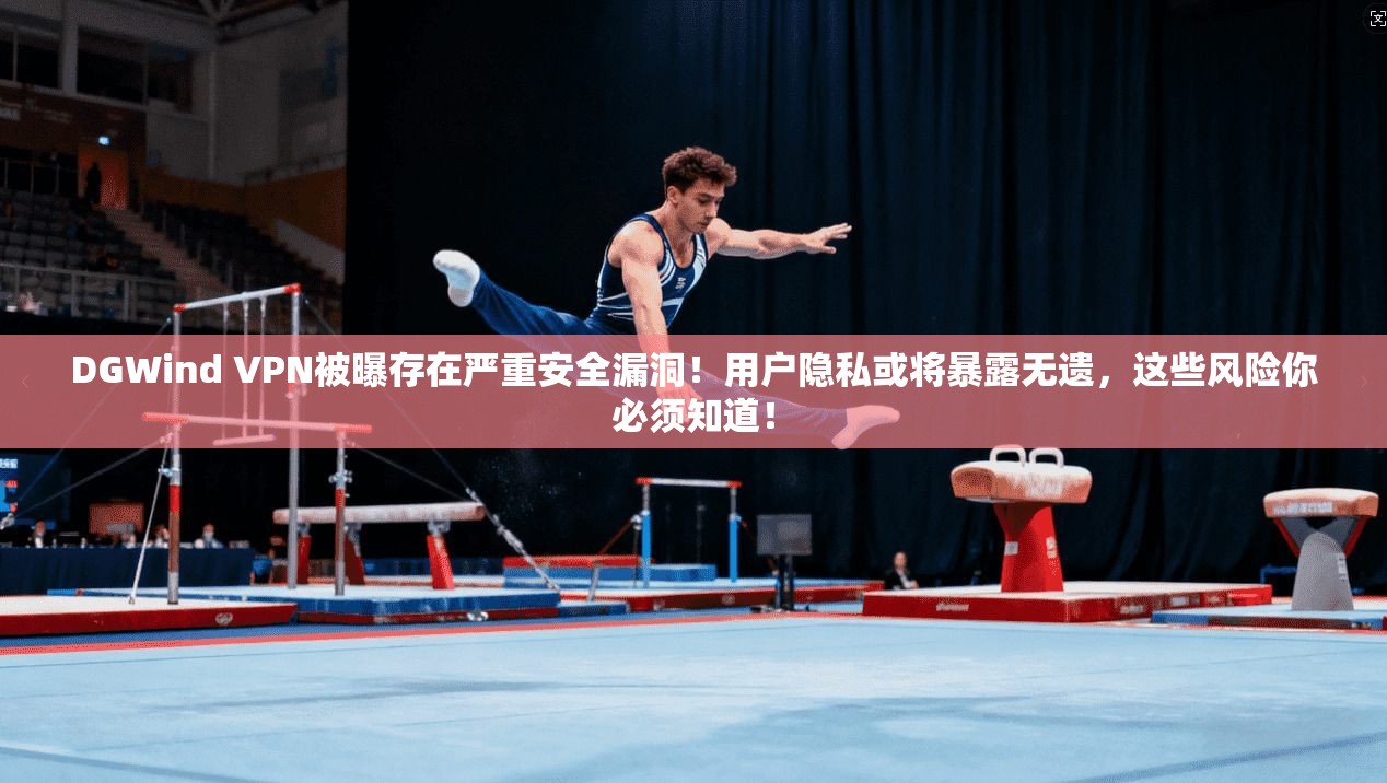 DGWind VPN被曝存在严重安全漏洞！用户隐私或将暴露无遗，这些风险你必须知道！
