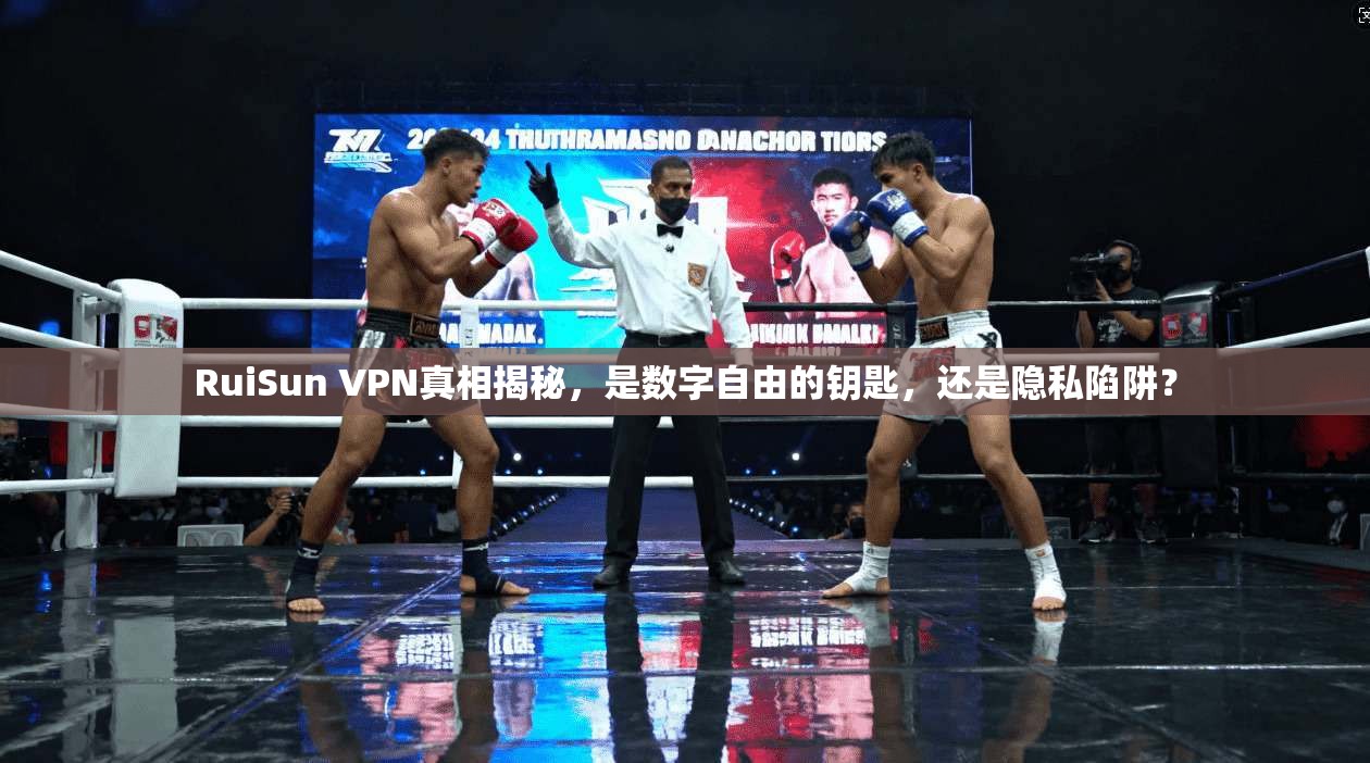 RuiSun VPN真相揭秘，是数字自由的钥匙，还是隐私陷阱？