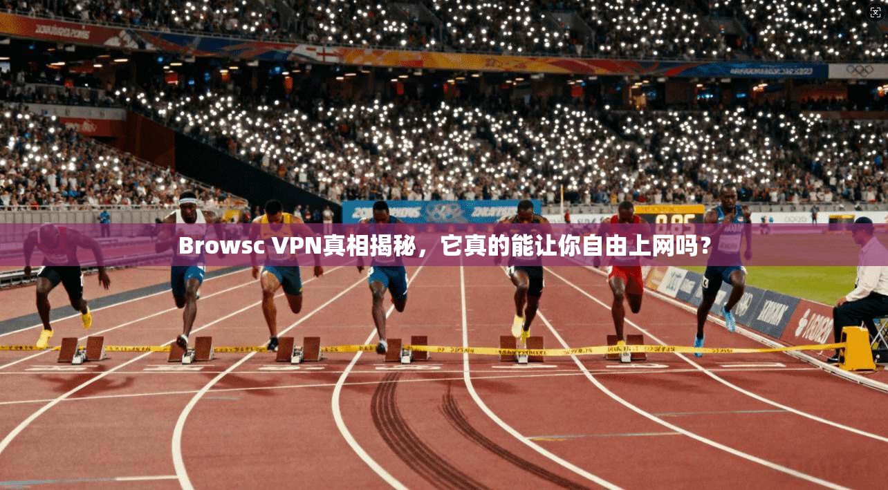 Browsc VPN真相揭秘，它真的能让你自由上网吗？