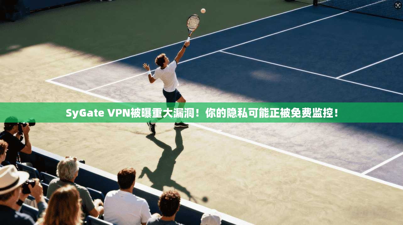 SyGate VPN被曝重大漏洞!你的隐私可能正被免费监控!