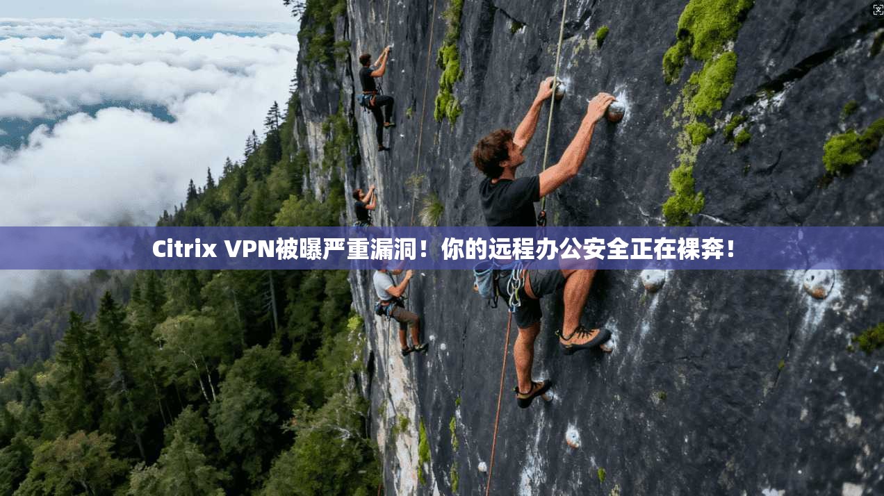 Citrix VPN被曝严重漏洞！你的远程办公安全正在裸奔！