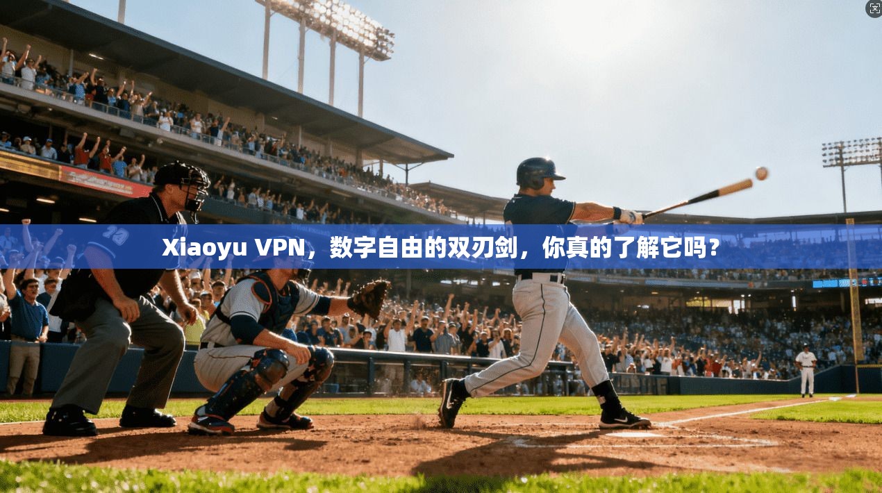 Xiaoyu VPN，数字自由的双刃剑，你真的了解它吗？