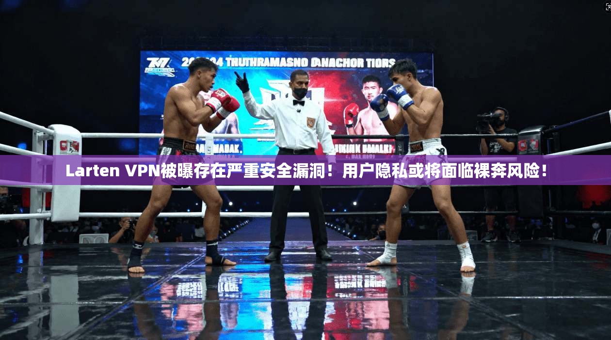 Larten VPN被曝存在严重安全漏洞！用户隐私或将面临裸奔风险！