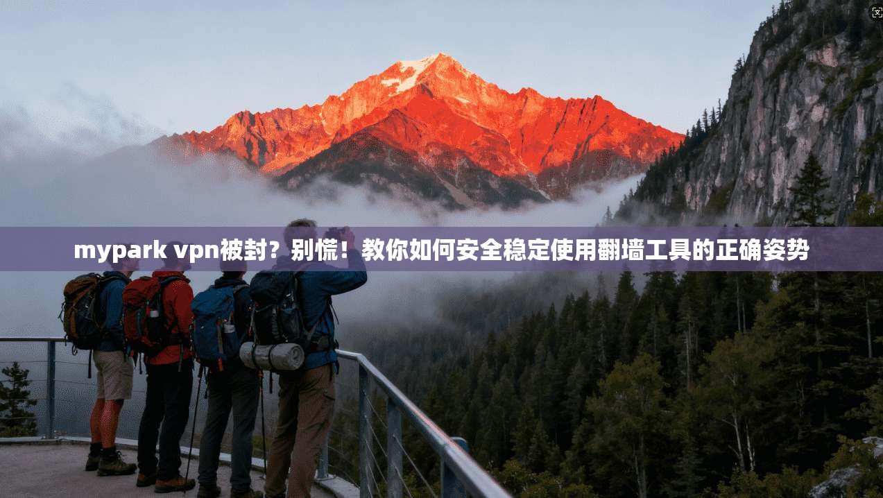 mypark vpn被封？别慌！教你如何安全稳定使用翻墙工具的正确姿势