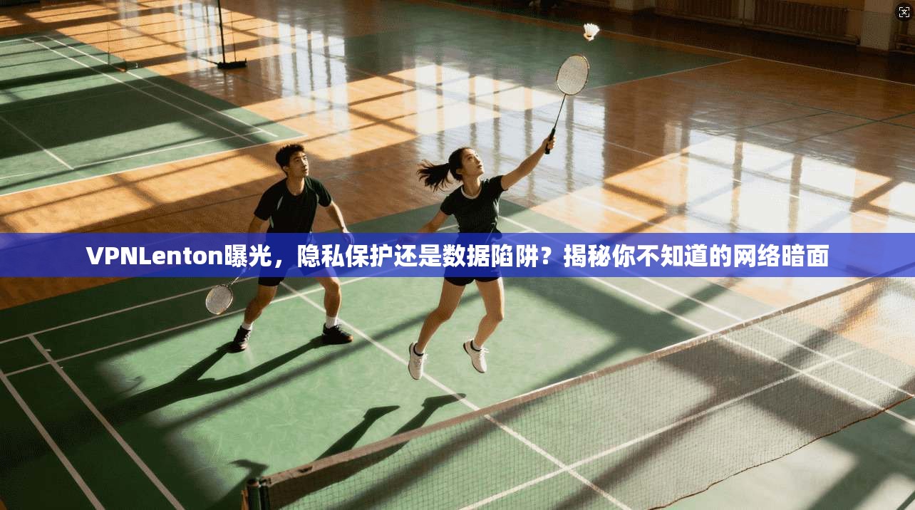 VPNLenton曝光，隐私保护还是数据陷阱？揭秘你不知道的网络暗面