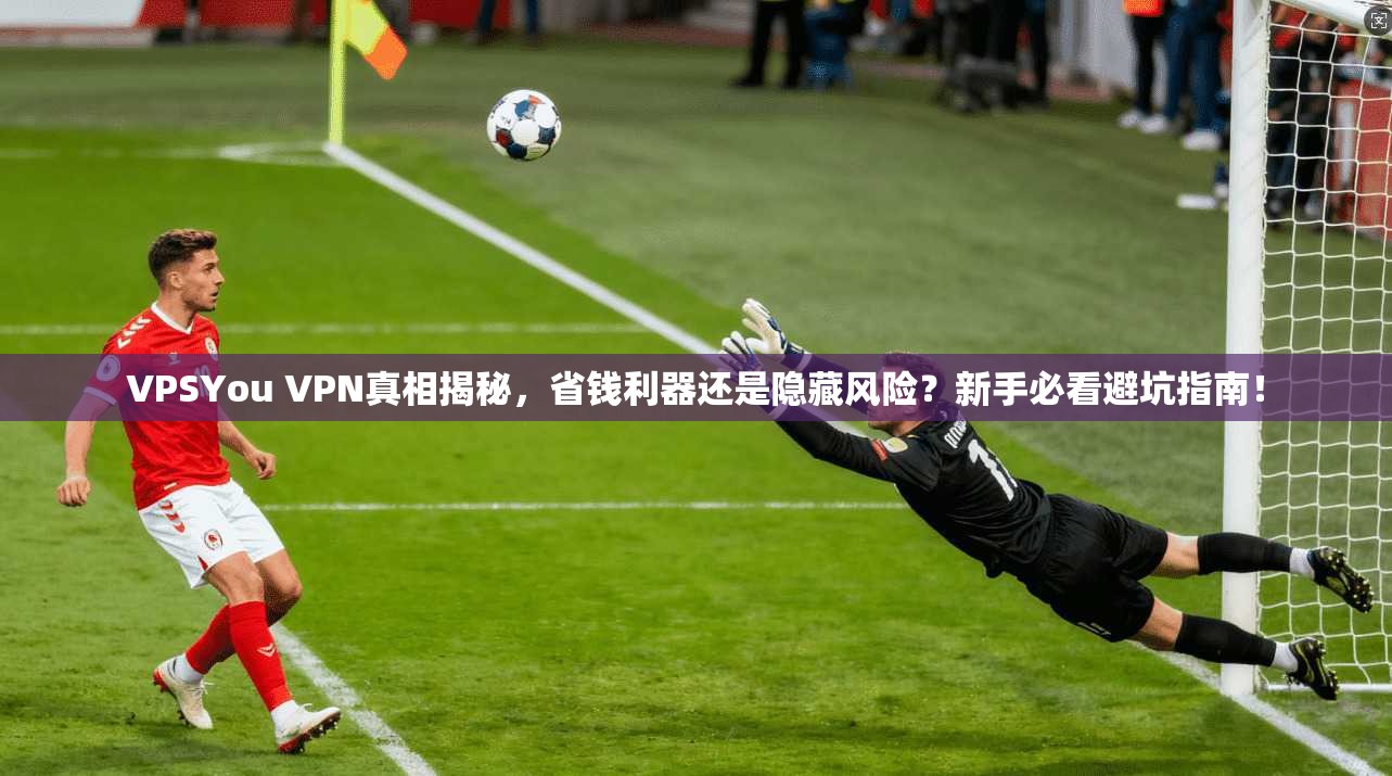 VPSYou VPN真相揭秘，省钱利器还是隐藏风险？新手必看避坑指南！
