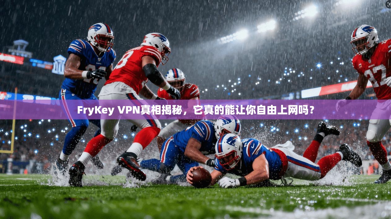FryKey VPN真相揭秘,它真的能让你自由上网吗?