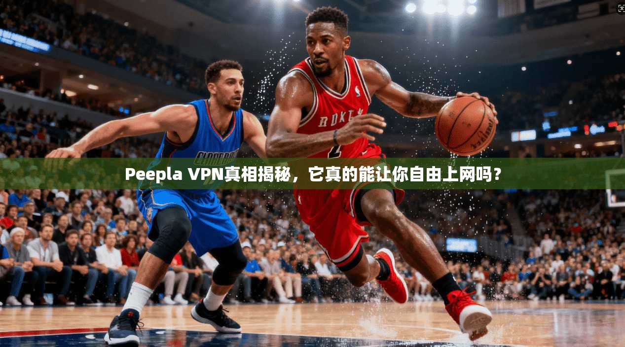 Peepla VPN真相揭秘，它真的能让你自由上网吗？