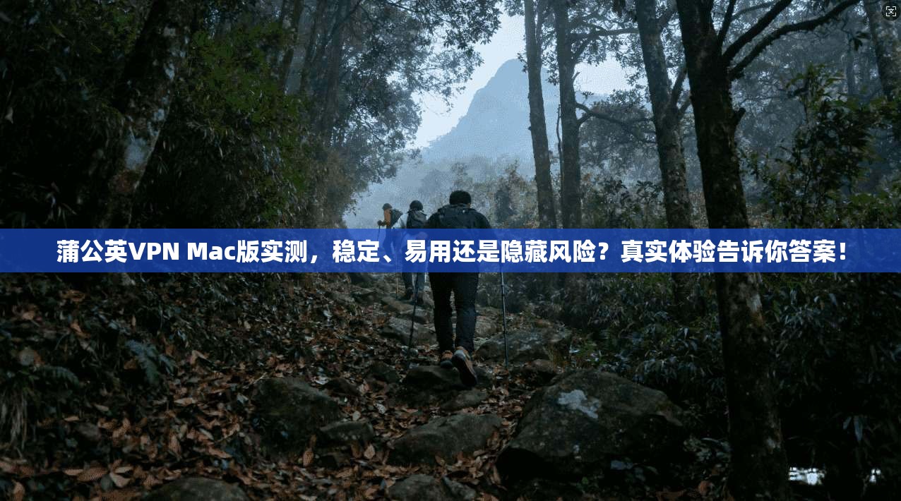 蒲公英VPN Mac版实测，稳定、易用还是隐藏风险？真实体验告诉你答案！