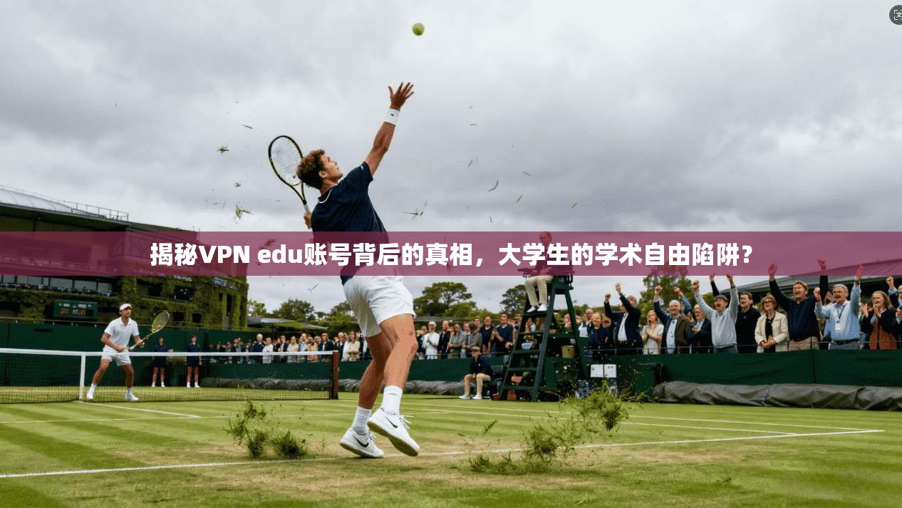 揭秘VPN edu账号背后的真相，大学生的学术自由陷阱？