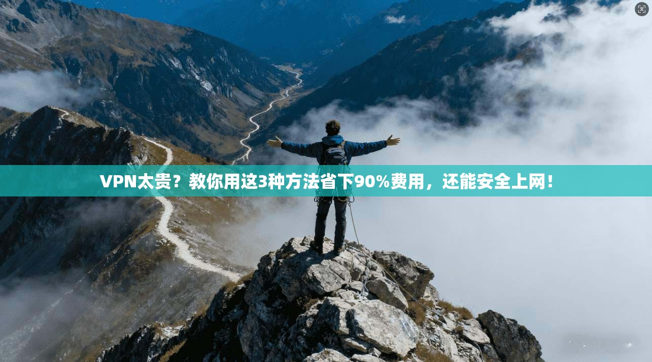 VPN太贵？教你用这3种方法省下90%费用，还能安全上网！