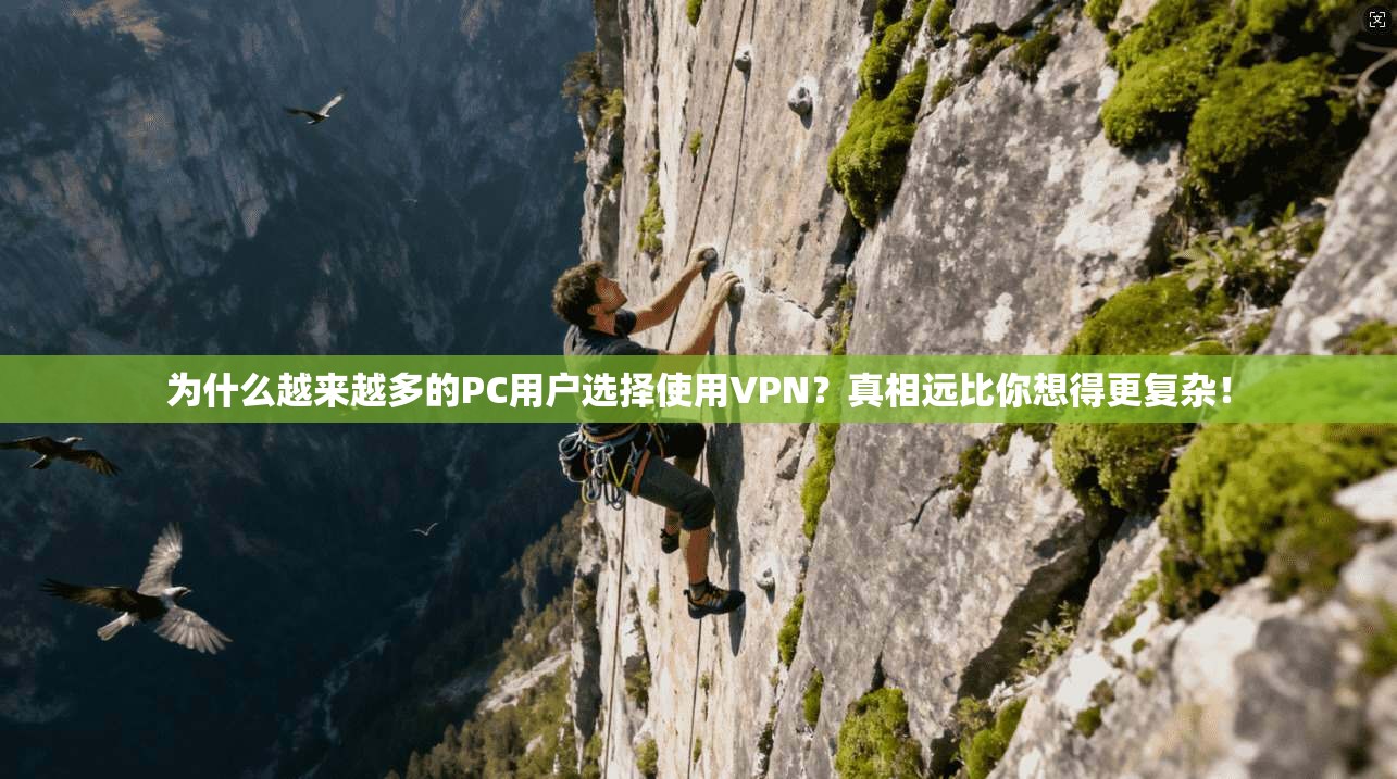 为什么越来越多的PC用户选择使用VPN？真相远比你想得更复杂！