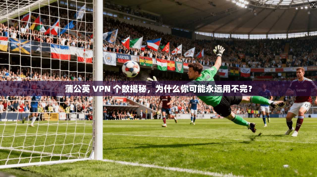 蒲公英 VPN 个数揭秘，为什么你可能永远用不完？
