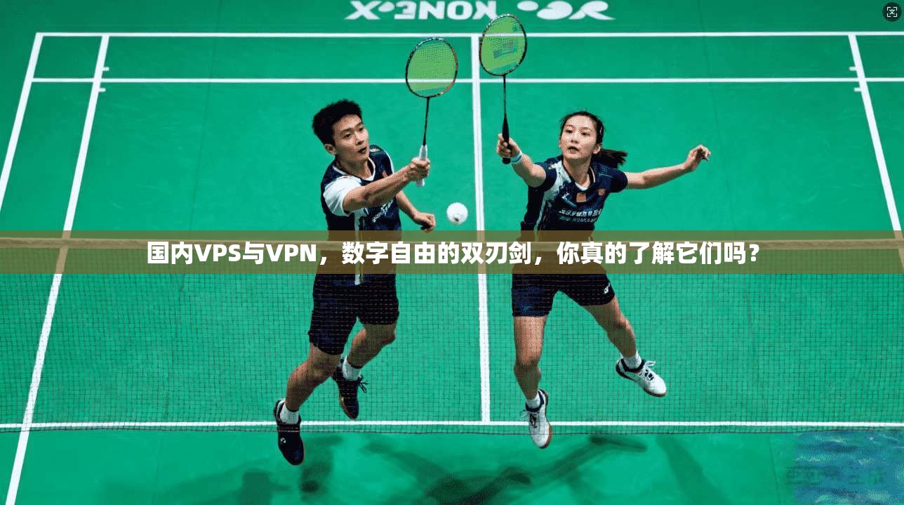 国内VPS与VPN，数字自由的双刃剑，你真的了解它们吗？