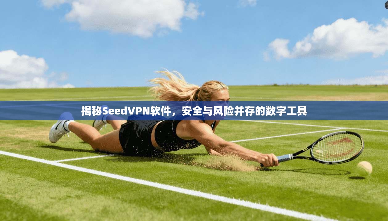 揭秘SeedVPN软件，安全与风险并存的数字工具