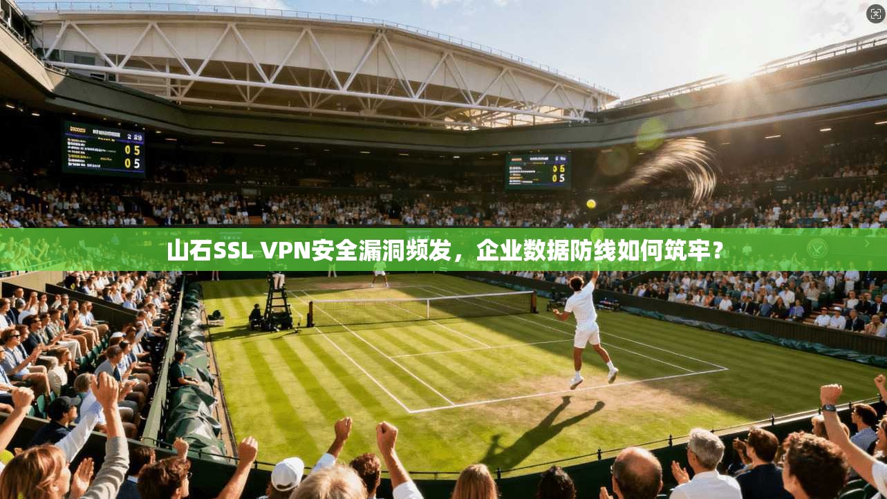 山石SSL VPN安全漏洞频发,企业数据防线如何筑牢? 山石SSL VPN安全漏洞频发,企业数据防线如何筑牢?