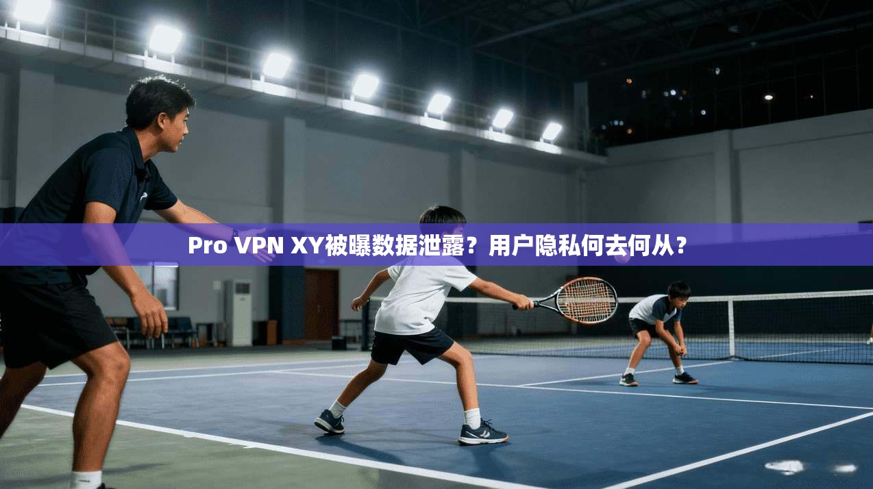 Pro VPN XY被曝数据泄露？用户隐私何去何从？