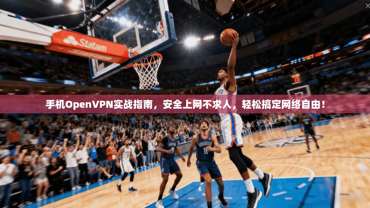 手机OpenVPN实战指南，安全上网不求人，轻松搞定网络自由！