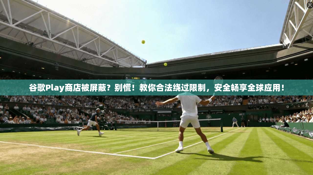 谷歌Play商店被屏蔽？别慌！教你合法绕过限制，安全畅享全球应用！