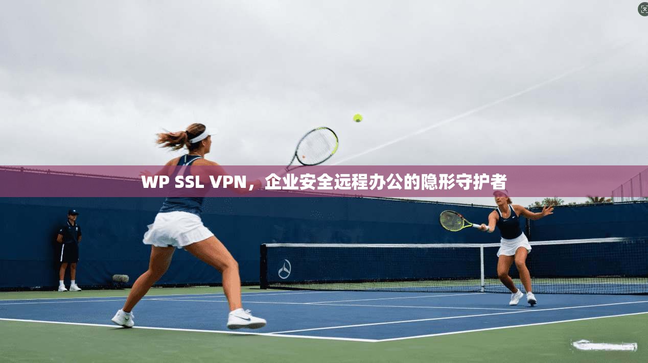 WP SSL VPN，企业安全远程办公的隐形守护者