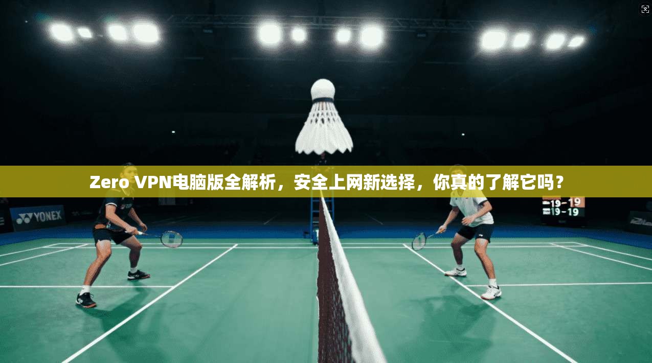 Zero VPN电脑版全解析，安全上网新选择，你真的了解它吗？