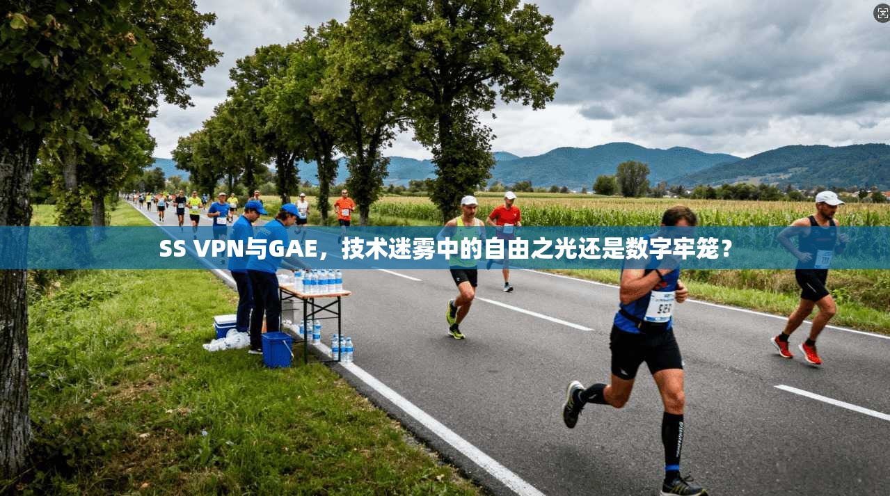 SS VPN与GAE,技术迷雾中的自由之光还是数字牢笼?