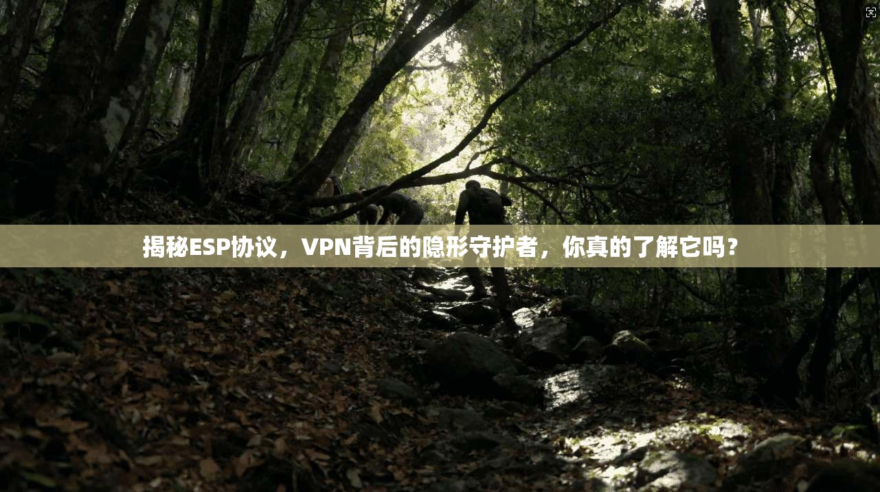 揭秘ESP协议，VPN背后的隐形守护者，你真的了解它吗？