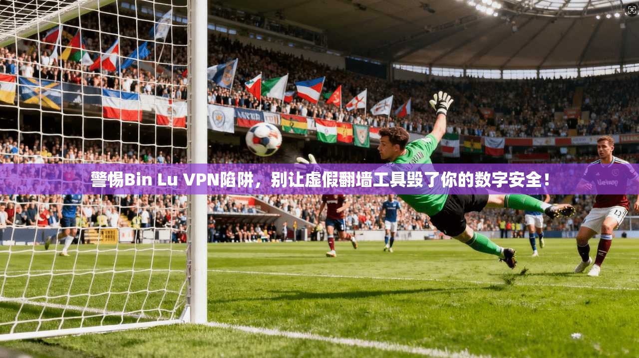 警惕Bin Lu VPN陷阱，别让虚假翻墙工具毁了你的数字安全！